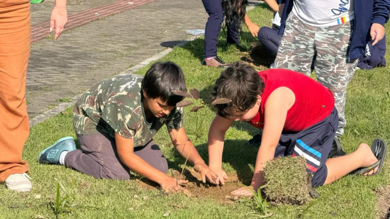 Mais de 70 mudas são plantadas em ação do CRAS pelo Dia da Árvore em Araranguá