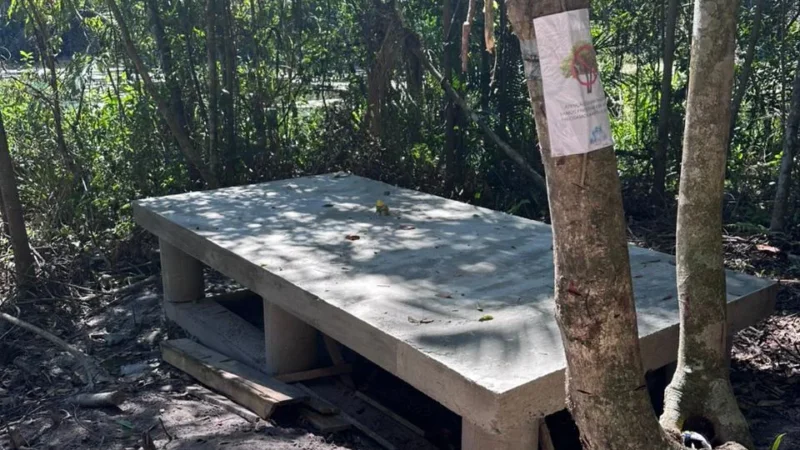 Dino Parque entra em nova fase de obras no Parque Belinzoni