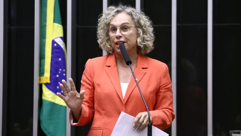 Alesc recebe seminário sobre o futuro dos portos catarinenses com a deputada Ana Paula Lima