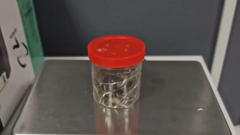 Polícia Civil e Militar deflagram operação contra o tráfico de drogas em Araranguá
