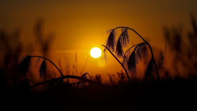 Sol predomina no fim de semana em Santa Catarina, com manhãs frias e tardes de calor