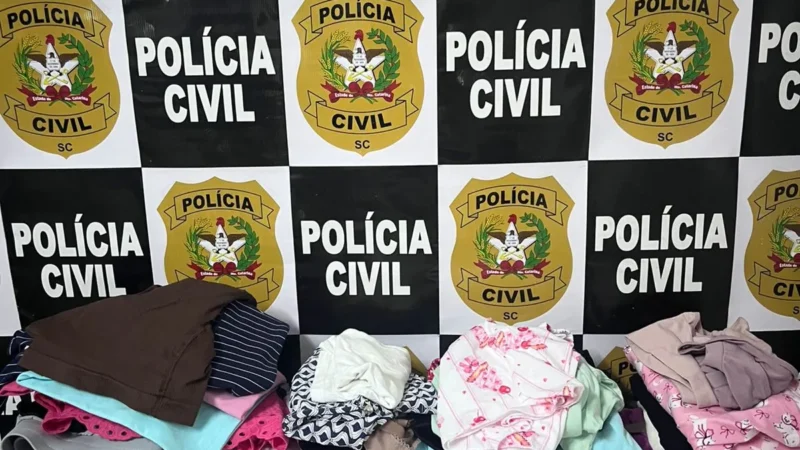 POLÍCIA CIVIL RECUPERA 82 PEÇAS FURTADAS APÓS INVESTIGAÇÃO EM LOJA DE ARARANGUÁ