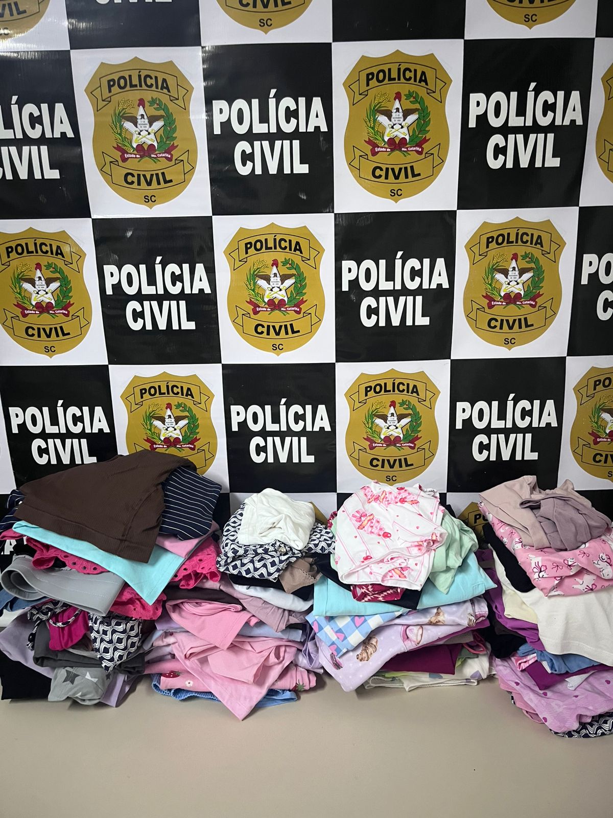 POLÍCIA CIVIL RECUPERA 82 PEÇAS FURTADAS APÓS INVESTIGAÇÃO EM LOJA DE ARARANGUÁ