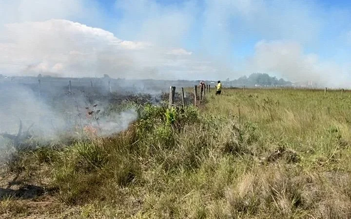 INCÊNDIO EM ÁREA DE VEGETAÇÃO MOBILIZA MORADORES E BOMBEIROS NA LAGOINHA