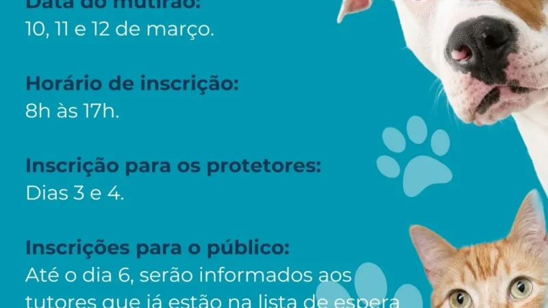 🚨 Atenção, tutores!
