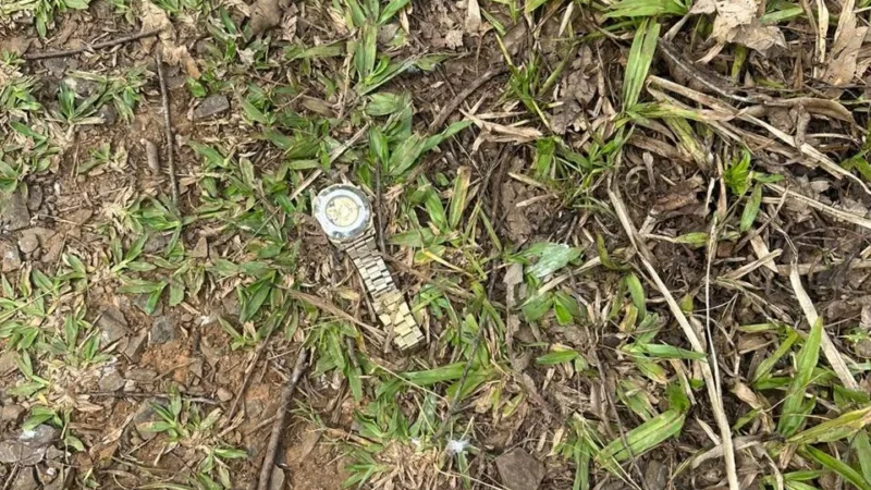 Corpo em avançado estado de decomposição é encontrado em área de mata e levanta suspeita de execução