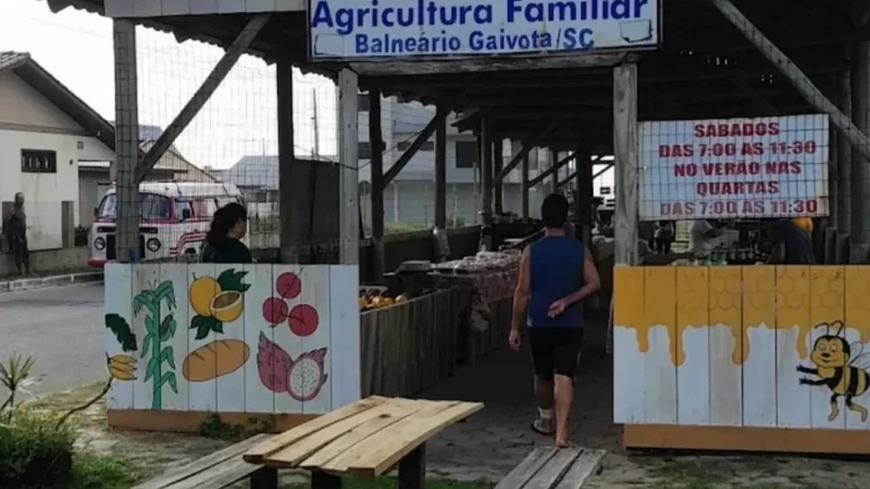 BALNEÁRIO GAIVOTA LANÇA “TICKET-FEIRA” E IMPULSIONA SAÚDE E AGRICULTURA LOCAL
