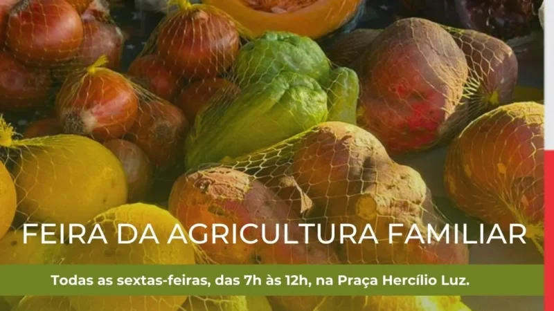 Sexta é dia de feira!
