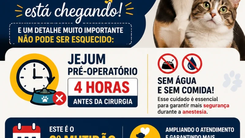 ATENÇÃO TUTORES: JEJUM É ESSENCIAL PARA A CASTRAÇÃO