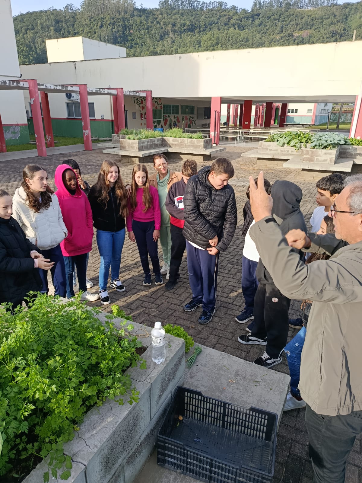 DA HORTA À MERENDA: ESCOLA DE MORRO GRANDE TRANSFORMA ALUNOS EM PRODUTORES DE ALIMENTOS ORGÂNICOS