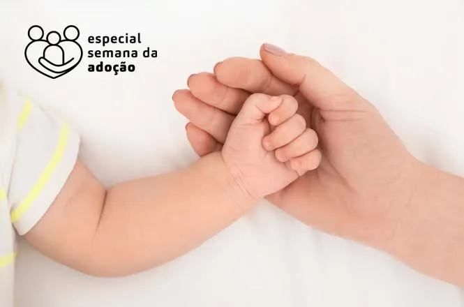 Entrega Legal garante acolhimento, sigilo e proteção à mulher e à criança em SC