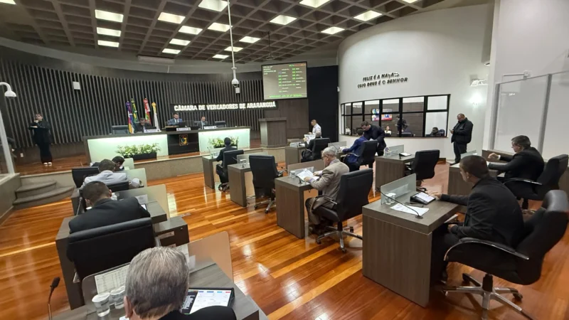 Câmara de Araranguá aprova projetos voltados à saúde, esporte, inclusão social e proteção animal