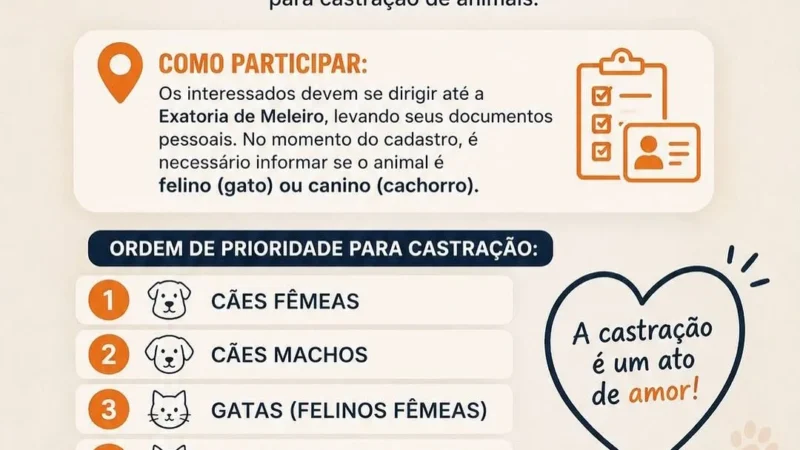 ODAM abre inscrições para campanha de castração de cães e gatos em Meleiro