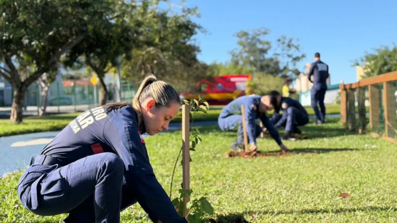 Bombeiros ultrapassam marca de 500 árvores plantadas no Sul de SC