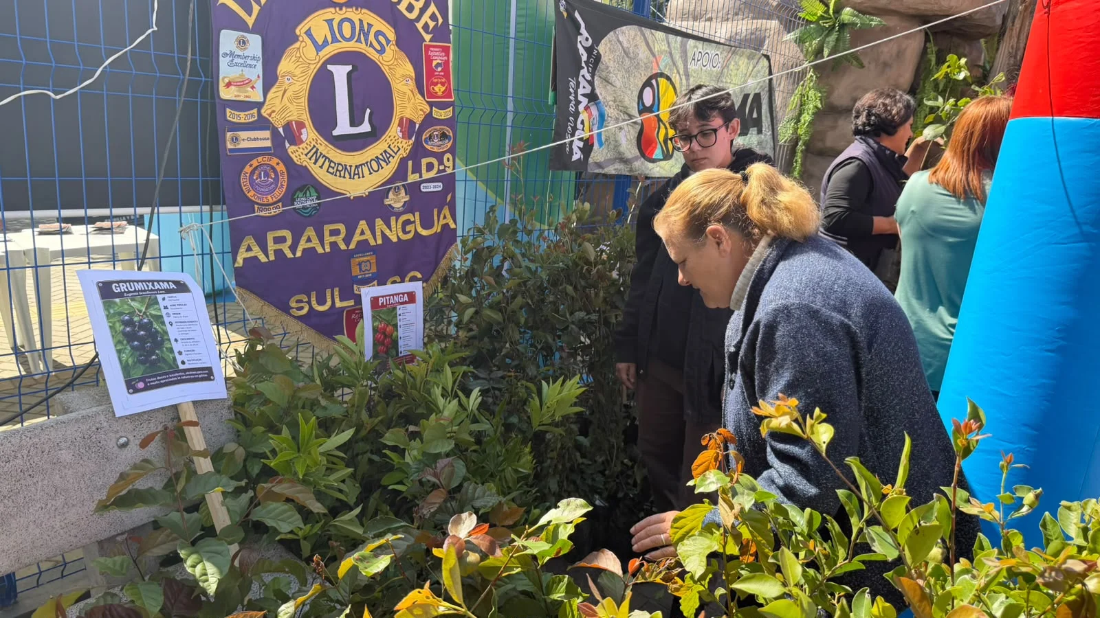Araranguá realiza ação de conscientização no Dia Internacional da Árvore