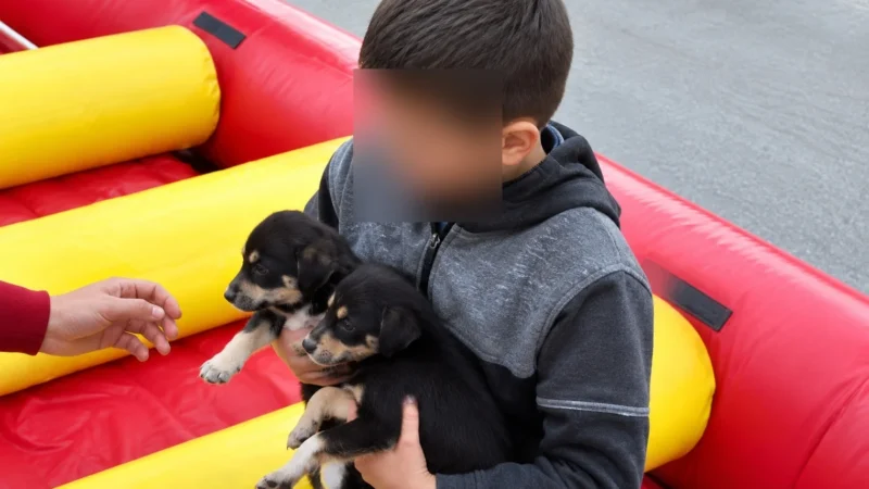 Em meio a alagamentos, menino é resgatado de bote abraçado a dois filhotes de cachorro